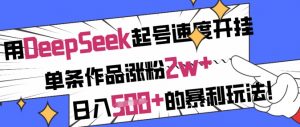 用DeepSeek起号速度开挂，单条作品涨粉2w+，日入5张+的暴利玩法-精品虚拟资源库