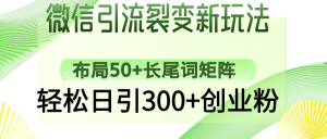 微信引流裂变新玩法：布局50+长尾词矩阵，轻松日引300+创业粉-精品虚拟资源库