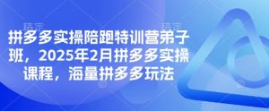 拼多多实操陪跑特训营弟子班,2025年2月拼多多实操课程,海量拼多多玩法-精品虚拟资源库