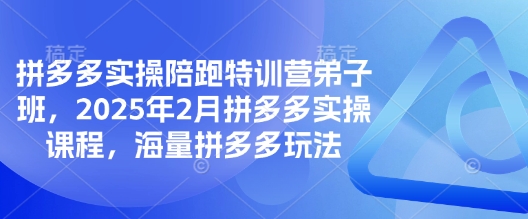 拼多多实操陪跑特训营弟子班，2025年2月拼多多实操课程，海量拼多多玩法-精品虚拟资源库