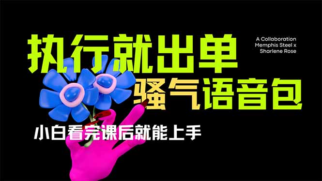 爆火全网的开车导航骚气语音包,只要执行就出单，小白看完课程就能实操…-精品虚拟资源库