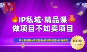 2025年“IP私域·密训精品课”，日赚3000+小白避坑年赚百万，暴力引流...-精品虚拟资源库