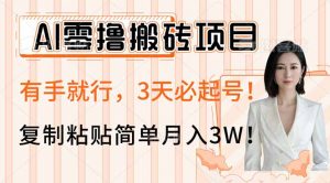AI零撸搬砖项目玩法，有手就行，3天必起号，复制粘贴简单月入3W！-精品虚拟资源库