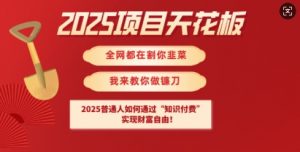 2025项目天花板普通人如何通过知识付费，实现财F自由【揭秘】-精品虚拟资源库