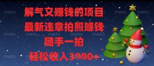 解气又挣钱的项目，最新违章拍照挣钱，随手一拍，轻松收入多张【揭秘】-精品虚拟资源库
