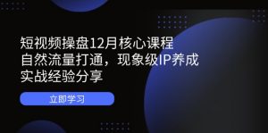 短视频操盘12月核心课程:自然流量打通,现象级IP养成,实战经验分享-精品虚拟资源库