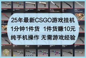 25年最新CSGO游戏挂机,1分钟1件货,1件货赚10元 纯手机操作 无需游戏经验-精品虚拟资源库