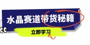 水晶赛道带货秘籍，国学结合、短视频起号、拍摄技巧、直播话术等内容-精品虚拟资源库