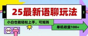 25年最新语聊玩法,纯手工,单机收益100+,小白也能轻松上手,可矩阵操作-精品虚拟资源库