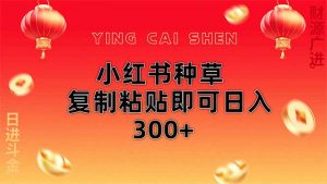 小红书种草无脑操作复制粘贴即可日入300+-精品虚拟资源库