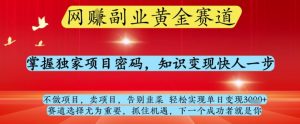 网创副业黄全赛道，掌握独家项目密码，知识变现快人一步，告别韭菜轻松实现单日变现1k+【揭秘】-精品虚拟资源库