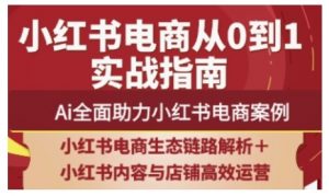 2025小红书电商全链路运营，Ai全面助力小红书电商案例-精品虚拟资源库