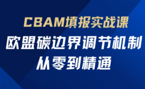 欧盟CBAM填报实战从零到精通-精品虚拟资源库