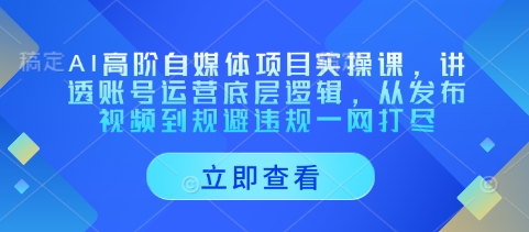 AI高阶自媒体项目实操课，讲透账号运营底层逻辑，从发布视频到规避违规一网打尽-精品虚拟资源库