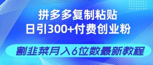 拼多多复制粘贴日引300+付费创业粉,割韭菜月入6位数最新教程!-精品虚拟资源库