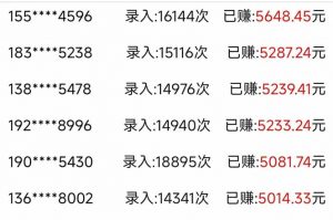 信息录入，几秒一单，只需一部手机，小白轻松上手，日入500＋-精品虚拟资源库
