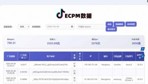 2025最热抖音官方项目 Ai时代风口项目小程序游戏开发 实测单个游戏日收...-精品虚拟资源库