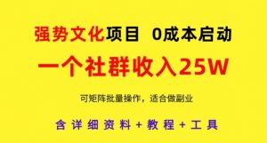 强势文化项目，一个社群收入25个W，0成本启动，可矩阵批量操作，原创详细实操教程-精品虚拟资源库