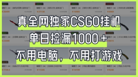 真全网独家CSGO挂G，单日捡漏1k+【揭秘】-精品虚拟资源库