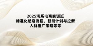 2025淘系电商实训班：标准化起店流程，智能计划与拉新，人群推广策略等等-精品虚拟资源库