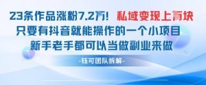 抖音私域项目23条作品涨粉7.2W，私域变现1W-精品虚拟资源库