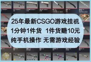 25年最新CSGO游戏挂G，1分钟1件货，1件货挣10元，纯手机操作，无需游戏经验【揭秘】-精品虚拟资源库