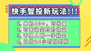 快手智投新玩法，单机日入40+，可批量，可查询实时收益，收益日结24小...-精品虚拟资源库