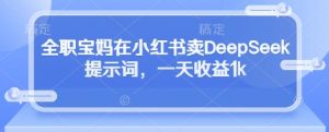 全职宝妈在小红书卖DeepSeek提示词,一天收益1k-精品虚拟资源库