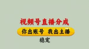 视频号直播分成，全程托管招募，单月轻松变现8k【揭秘】-精品虚拟资源库