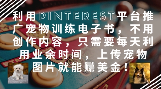 利用Pinterest平台推广宠物训练电子书，不用创作内容，只需要每天利用业余时间，上传宠物图片就能挣美金!-精品虚拟资源库