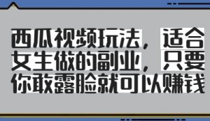 西瓜视频玩法，适合女生做的副业，只要你敢露脸就有收益-精品虚拟资源库