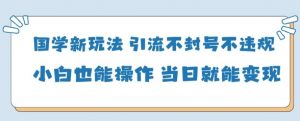 国学新玩法,引流不封号不违规小白也能操作,当日就能变现-精品虚拟资源库