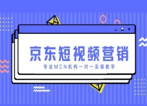 京东短视频营销项目，专业MCN机构一对一实操教学-精品虚拟资源库