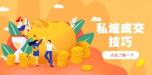 私域成交技巧，帮你从入门到精通，破解四大痛点，快速变现，轻松收钱-精品虚拟资源库