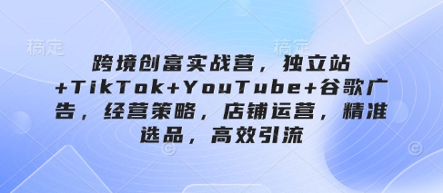 跨境创富实战营，独立站+TikTok+YouTube+谷歌广告，经营策略，店铺运营，精准选品，高效引流-精品虚拟资源库