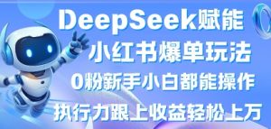 DeepSeek赋能小红书爆单玩法0粉新手小白都能操作，执行力跟上收益轻松上W，懒人勿做-精品虚拟资源库
