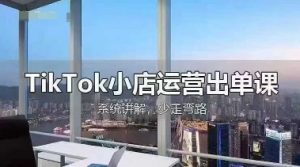 TikTok小店运营出单课,从开店选品、运营出单、发货回款,进行全流程讲解-精品虚拟资源库