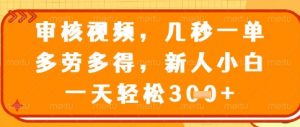 视频审核员，几秒一单，不限时间，不限地点，多做多得，新人小白一天轻松几张+【揭秘】-精品虚拟资源库