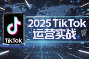 2025TikTok电商运营，掌握TikTok店铺运营核心技巧，实现低成本高转化-精品虚拟资源库