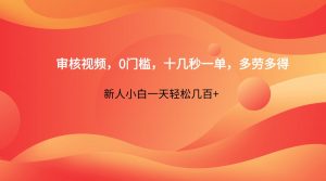 审核视频，0门槛，十几秒一单，多劳多得，新人小白一天轻松几百+-精品虚拟资源库
