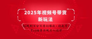 2025年视频号带货新玩法：AI炮制百分百原创爆款，稳起号，T+1结算实现月入过万-精品虚拟资源库
