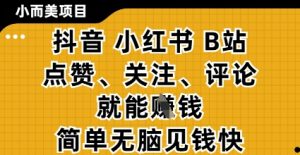 小而美的项目，抖音小红书B站视频点赞、关注、评论就能挣钱，简单无脑立见收益，妥妥的零撸项目【揭秘】-精品虚拟资源库