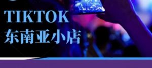 Tiktok东南亚跨境小店运营班，一门专业的TK小店运营培训课-精品虚拟资源库