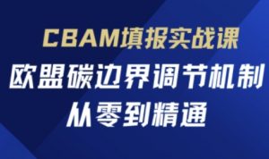 CBAM填报实战课，欧盟碳边界调节机制，从零到精通-精品虚拟资源库