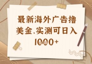 最新海外广告联盟挂机撸美金项目，实测可日入多张【揭秘】-精品虚拟资源库
