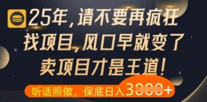 什么？25年你还在疯狂找项目做，醒醒吧，看完这些你全都懂了【揭秘】-精品虚拟资源库