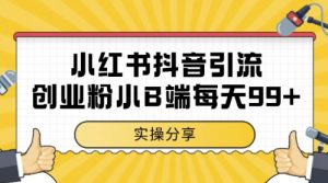 小红书抖音创业粉，小B端粉自热，日引99+的一个玩法【揭秘】-精品虚拟资源库