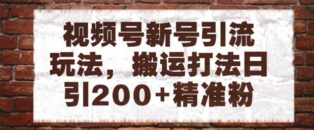 视频号新号引流玩法，搬运打法日引200+精准粉，可矩阵放大【揭秘】-精品虚拟资源库