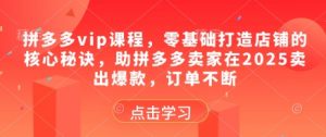 拼多多vip课程，零基础打造店铺的核心秘诀，助拼多多卖家在2025卖出爆款，订单不断-精品虚拟资源库