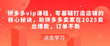拼多多vip课程，零基础打造店铺的核心秘诀，助拼多多卖家在2025卖出爆款，订单不断-精品虚拟资源库